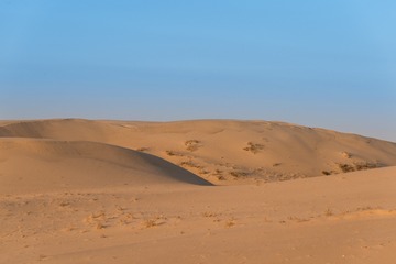 DSC_6758-6