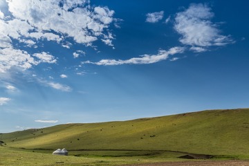 _DSC8825-5