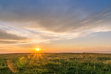 _DSC8494-1