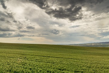 _DSC8399-5