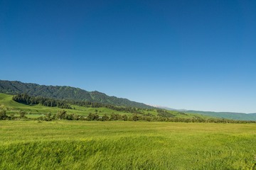 _DSC6042-48