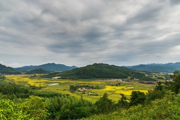 DSC04208-14