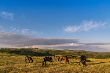_DSC8786-30