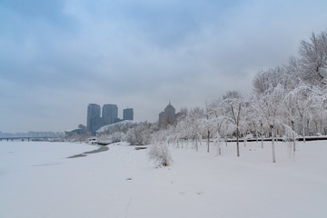 _DSC9846-5