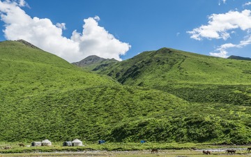 _DSC5954-12