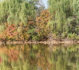 DSC_4076-Pano-1