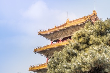 _DSC1599-155