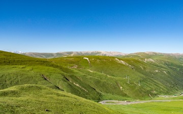 _DSC6156-91