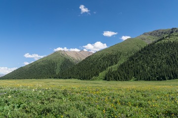 _DSC5745-5