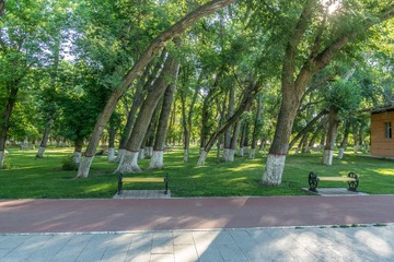 _DSC4086-2