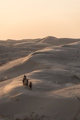 DSC_6891-24