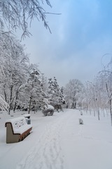 _DSC9843-3