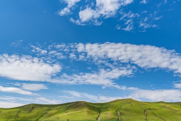 _DSC8965-24