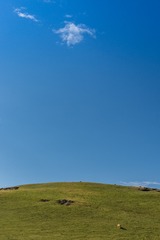 _DSC8831-11