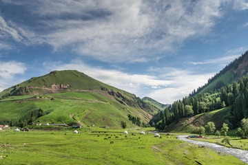 _DSC7806-3