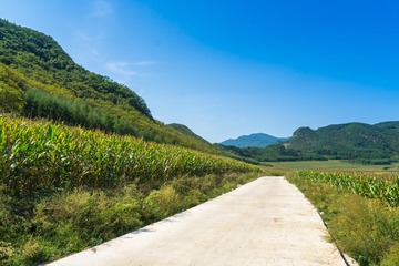 DSC03512-1