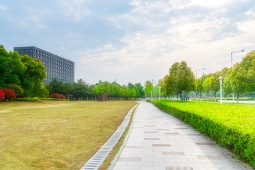 _DSC5524_Luminar2018-edit-1