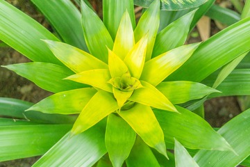 _DSC2162-95