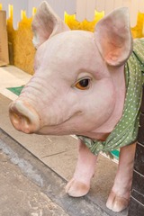 _DSC1715-6