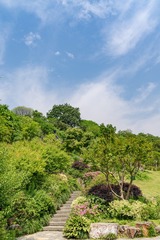 _DSC1785-18
