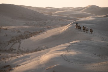 DSC_6920-31