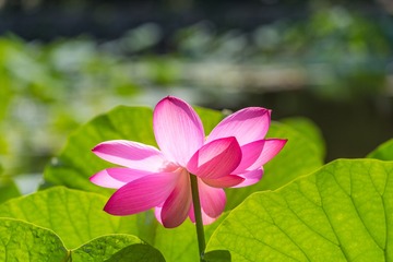 DSC_1363-11