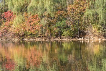 DSC_4079-33