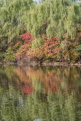 DSC_4075-32