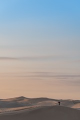 DSC_7085-6