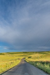 _DSC8453-7