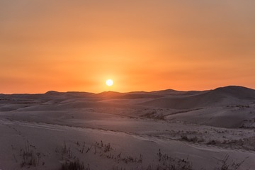 DSC_7332-15