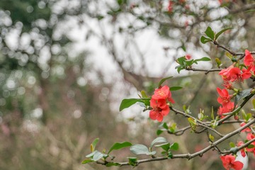 _DSC3068-22