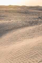 DSC_6780-12