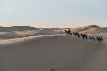 DSC_6830-11