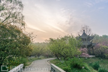 _DSC0441-HDR-1