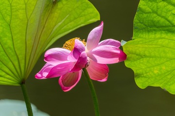 DSC_1371-18