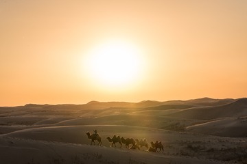 DSC_7063-48