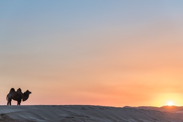 DSC_7429-40