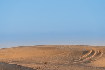 DSC_6722-5