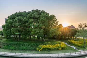 _DSC2823-9