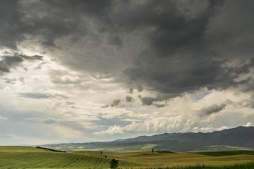 _DSC8390-1