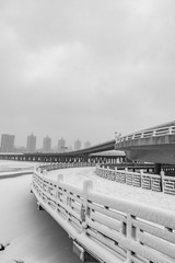 _DSC9763-1