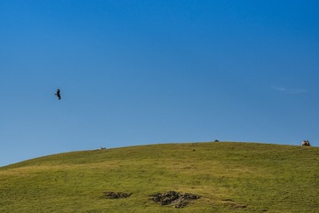 _DSC8827-7