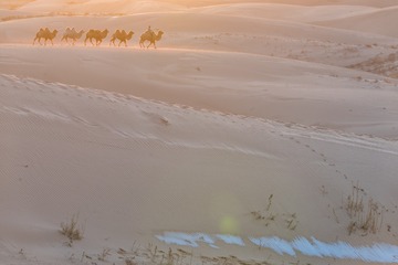 DSC_7157-13