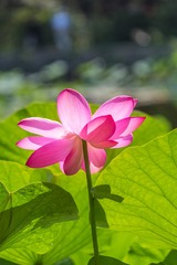 DSC_1364-12