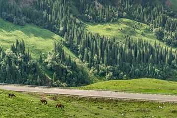 _DSC7849-9