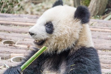 _DSC3619-27