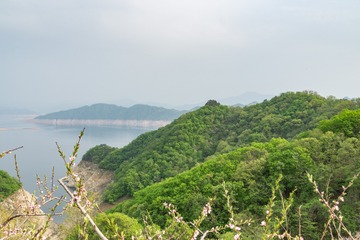 _DSC2067-7