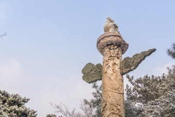 _DSC1414-26