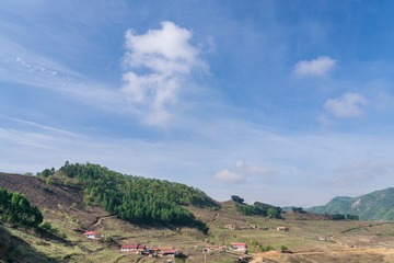 _DSC2393-3